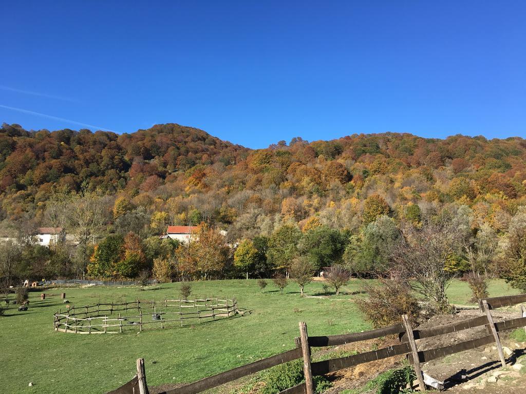 La Fattoria Di Morgana Villa Opi Luaran gambar